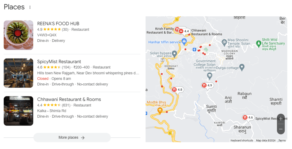 Local Search Results - Google Business Profile and Google Map Example